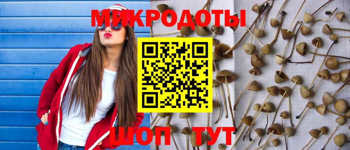 Псилоцибиновые грибы мухоморы Ахтубинск